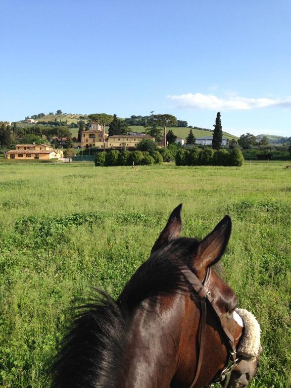 Agriturismo Villa Irelli Castellalto Экстерьер фото